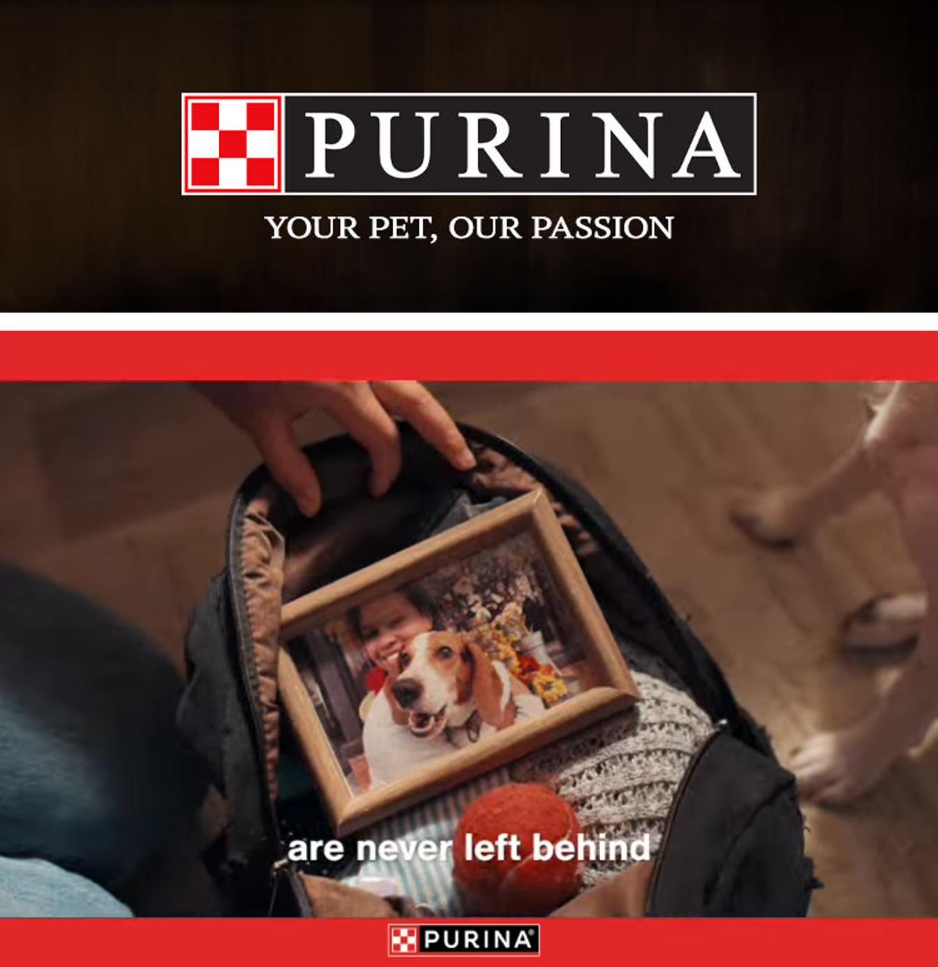 Jasper Market Purina Weekly Ad October 1 - 31, 2026