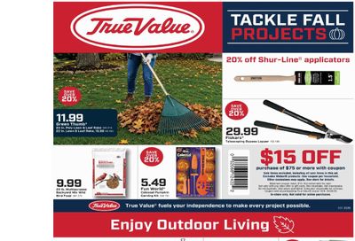 Davis Food & Drug True Value Savings Weekly Ad October 9 - 26, 2026