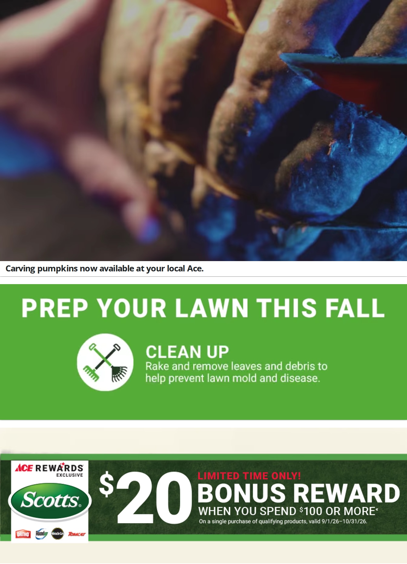 Ace Fix It (3170 Louisville Rd, Bowling Green, KY) Weekly Ad October 1 - 31, 2026