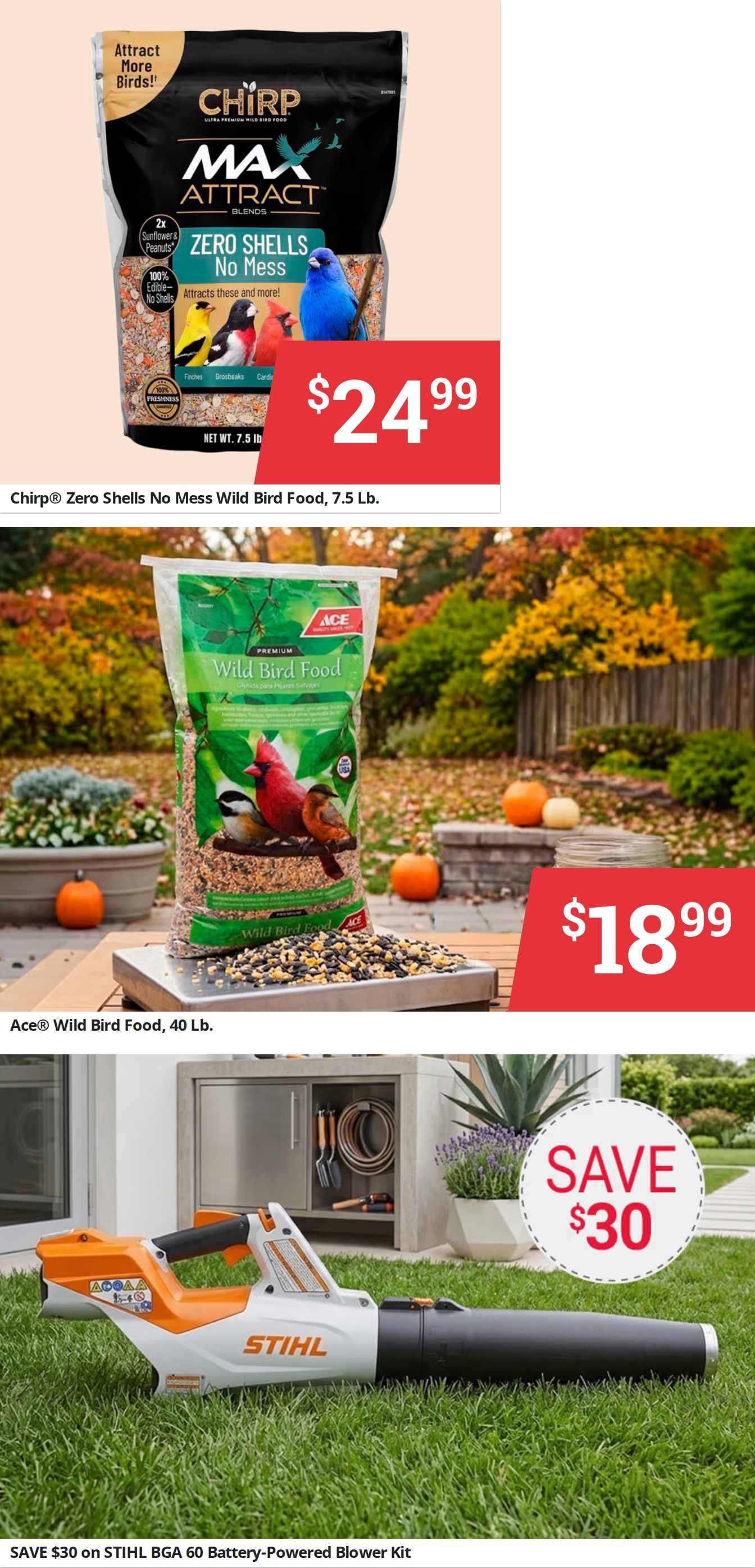 Ace Fix It (709 U.S. 31 W Bypass, Bowling Green, KY) Weekly Ad October 1 - 31, 2026