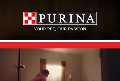 Three Bears Alaska (Alaska, Montana) Purina Weekly Ad October 1 - 31, 2026