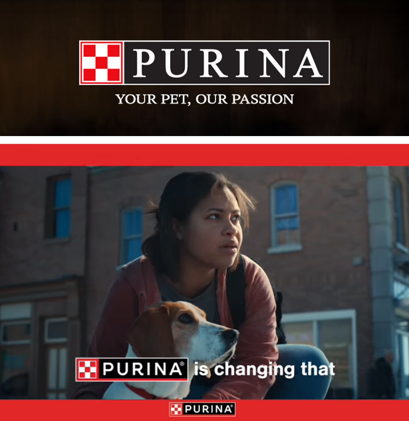Hollister Super and Windmill Market (California) Purina Weekly Ad October 1 - 31, 2026