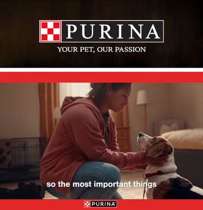 Hollister Super and Windmill Market (California) Purina Weekly Ad October 1 - 31, 2026
