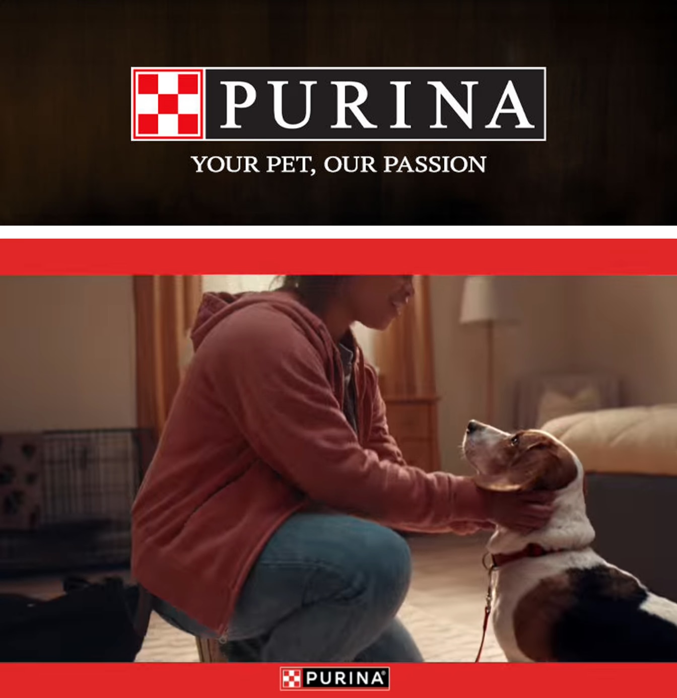 Juneau Foodland IGA Purina Weekly Ad October 1 - 31, 2026