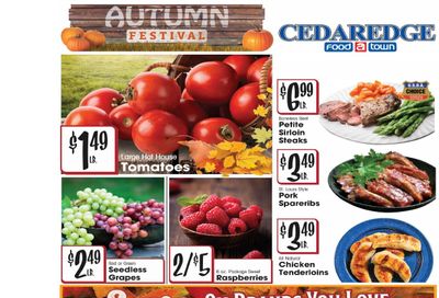 Cedaredge Foodtown (Cedaredge, CO) Weekly Ad October 14 - 20, 2026