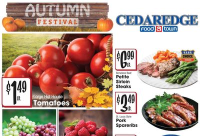 Cedaredge Foodtown (Hotchkiss Area, CO) Weekly Ad October 14 - 20, 2026