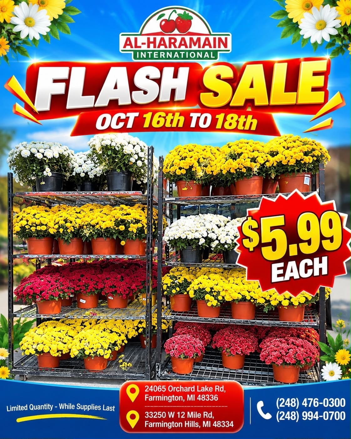 Al-Haramain International (33250 West 12 Mile Road, Farmington Hills, MI) Weekly Ad October 16 - 17, 2026