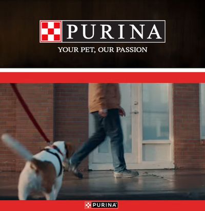 Hollister Super and Windmill Market (California) Purina Weekly Ad October 1 - 31, 2026