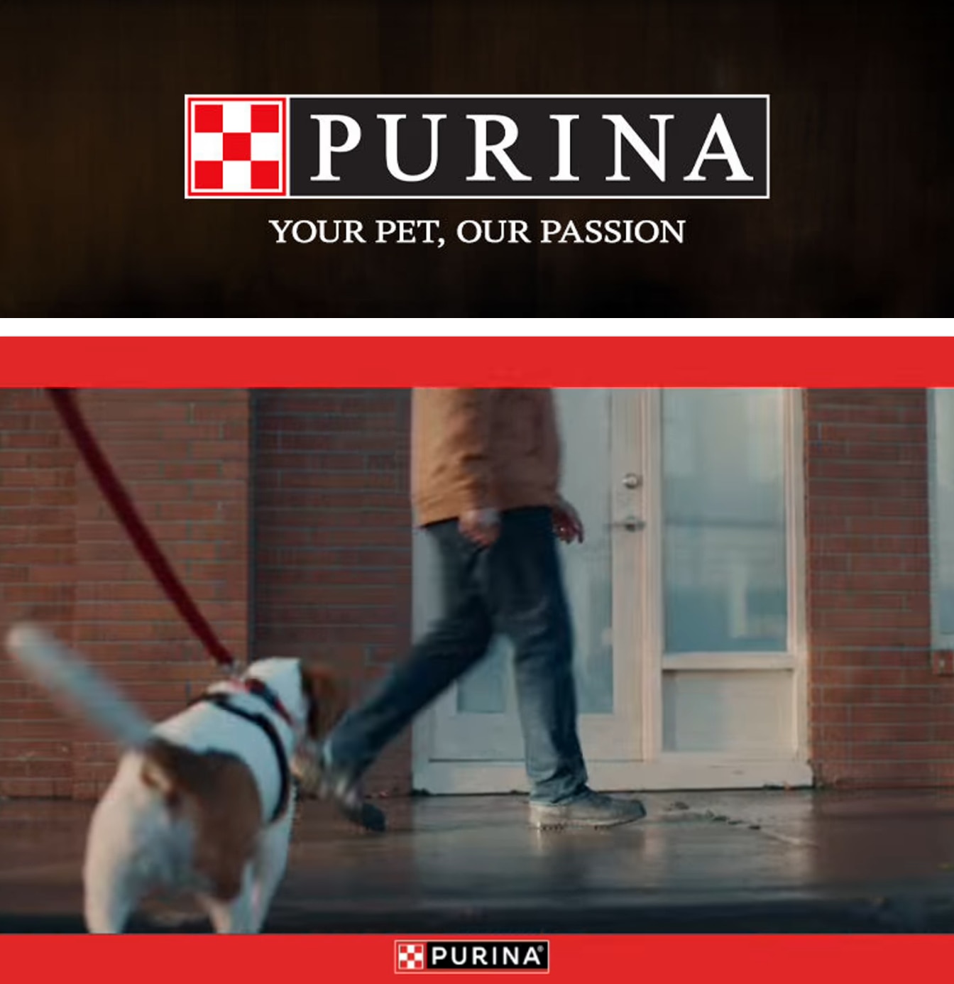 Hollister Super and Windmill Market (California) Purina Weekly Ad October 1 - 31, 2026