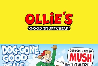 Ollie's Bargain Outlet (Beacon Falls Area, CT) Weekly Ad October 17 - 24, 2026