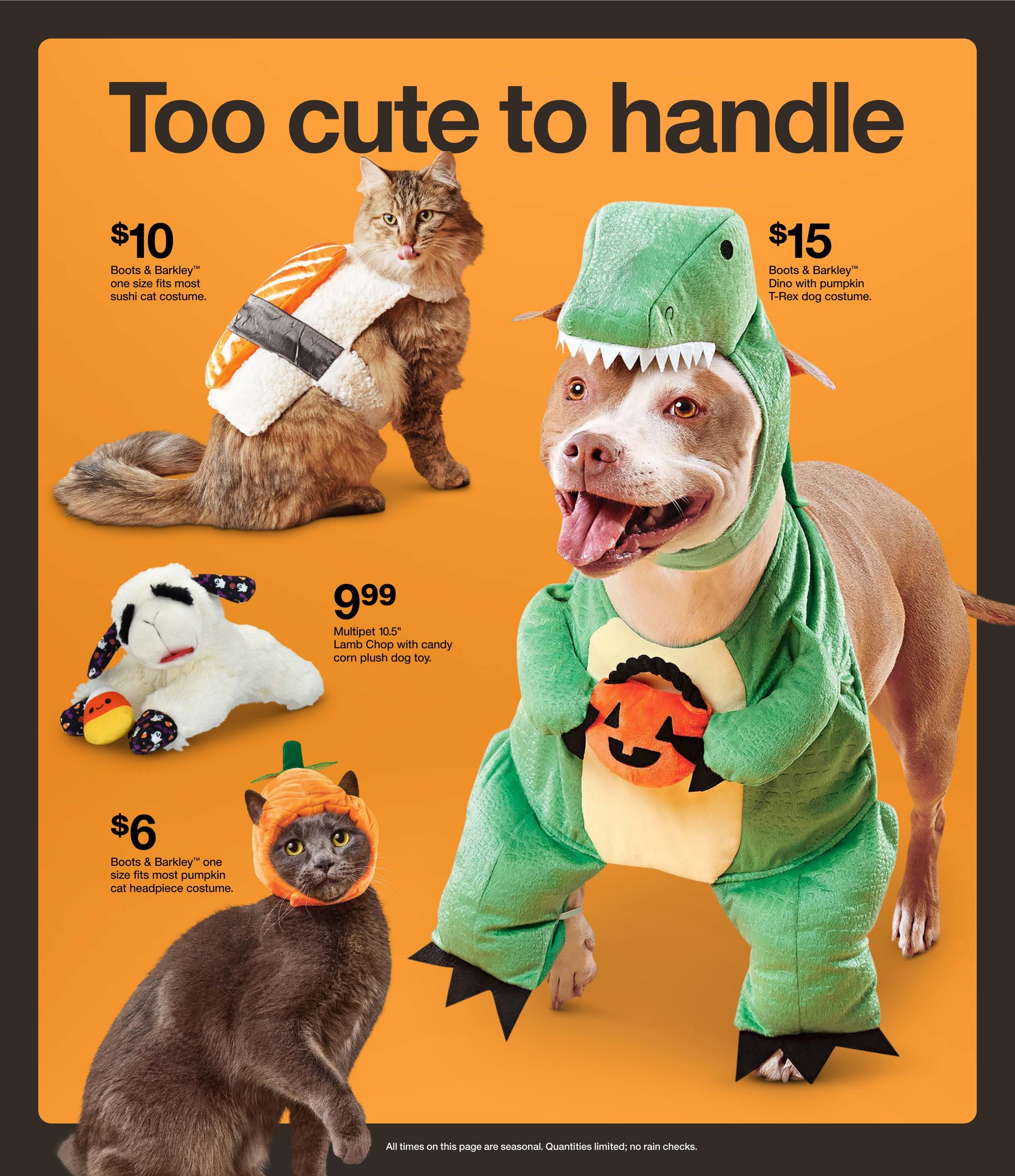 Target (Franklin Area, NC) Weekly Ad October 18 - 24, 2026