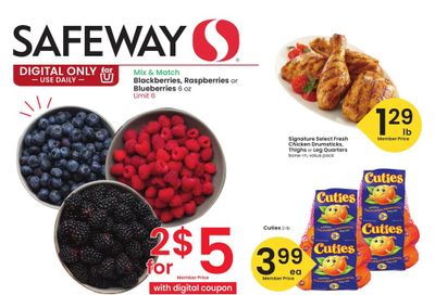 Safeway (Hot Springs-Sheridan Area, MT) Weekly Ad October 21 - 27, 2026