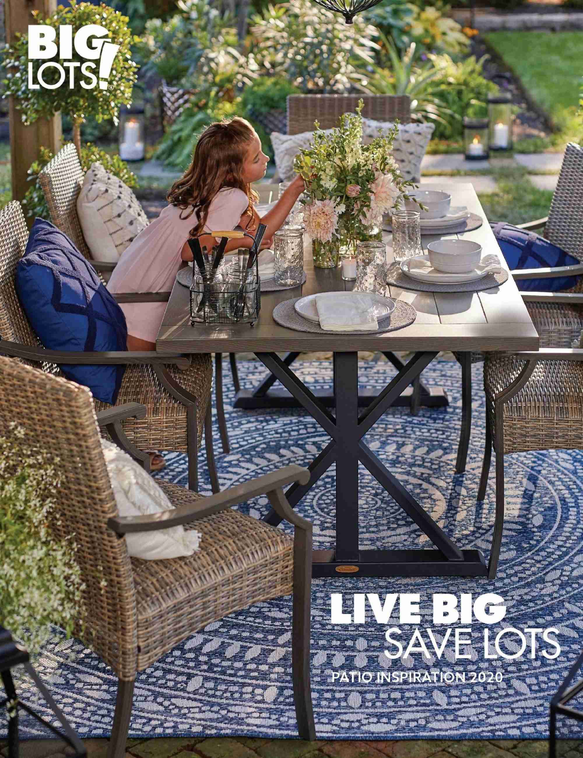 Big Lots Weekly Ad January 19 to July 31