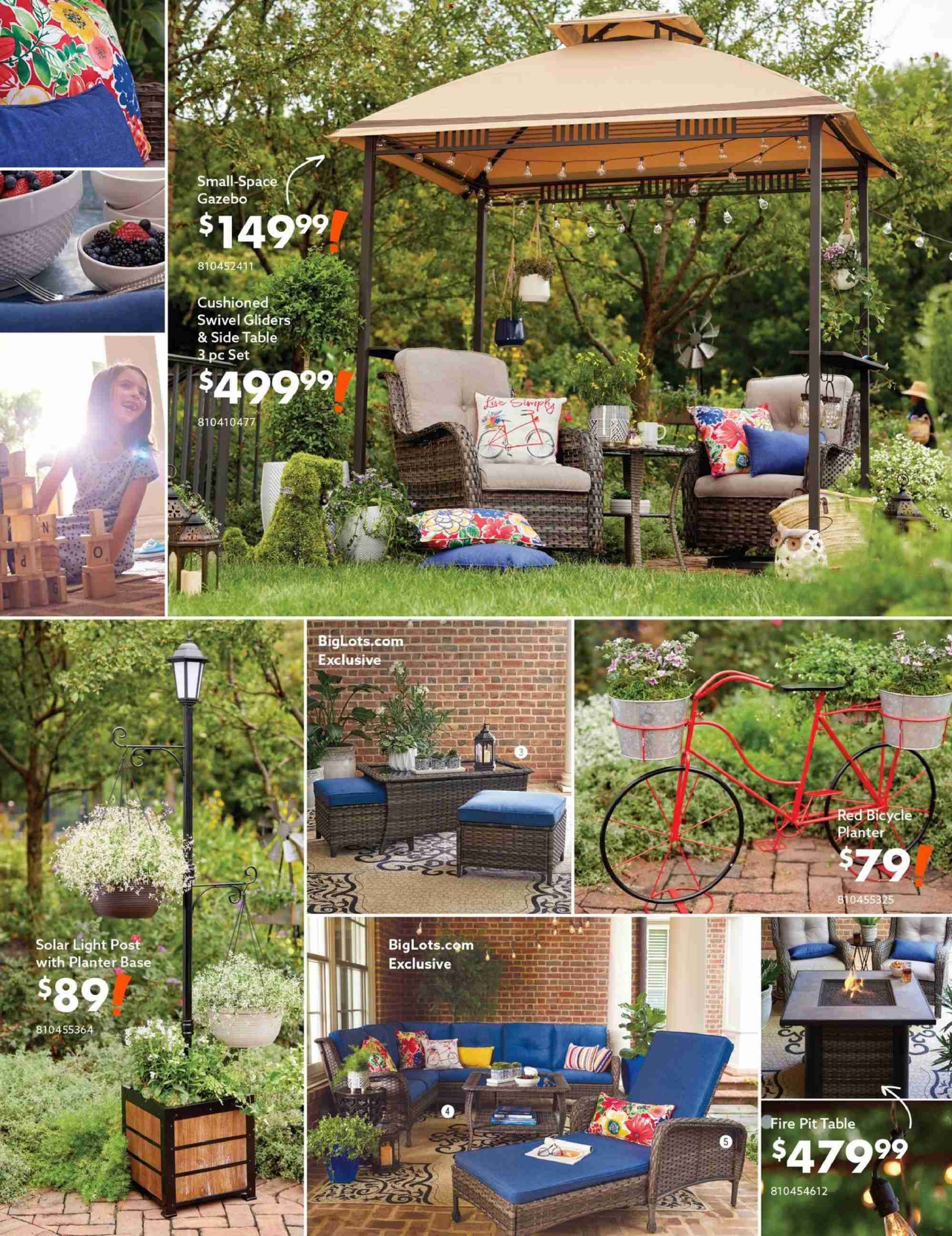 Big Lots Weekly Ad January 19 to July 31
