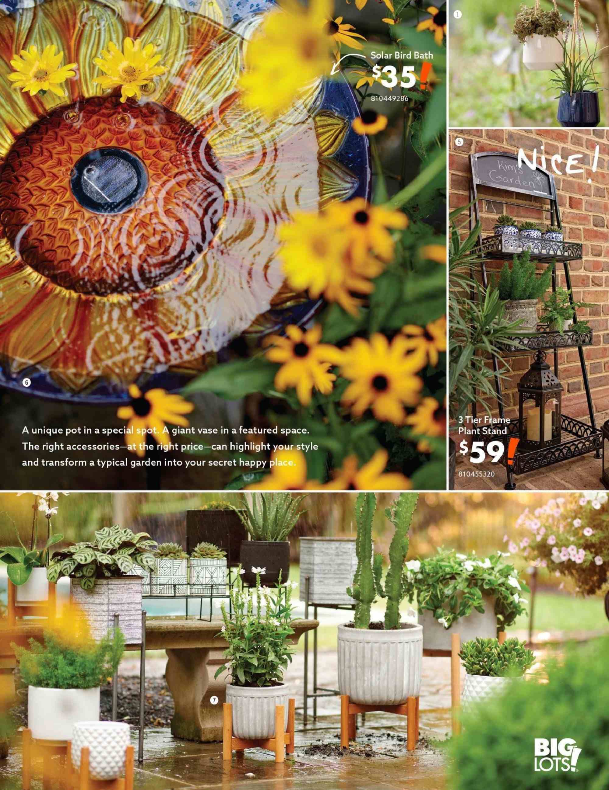 Big Lots Weekly Ad January 19 to July 31