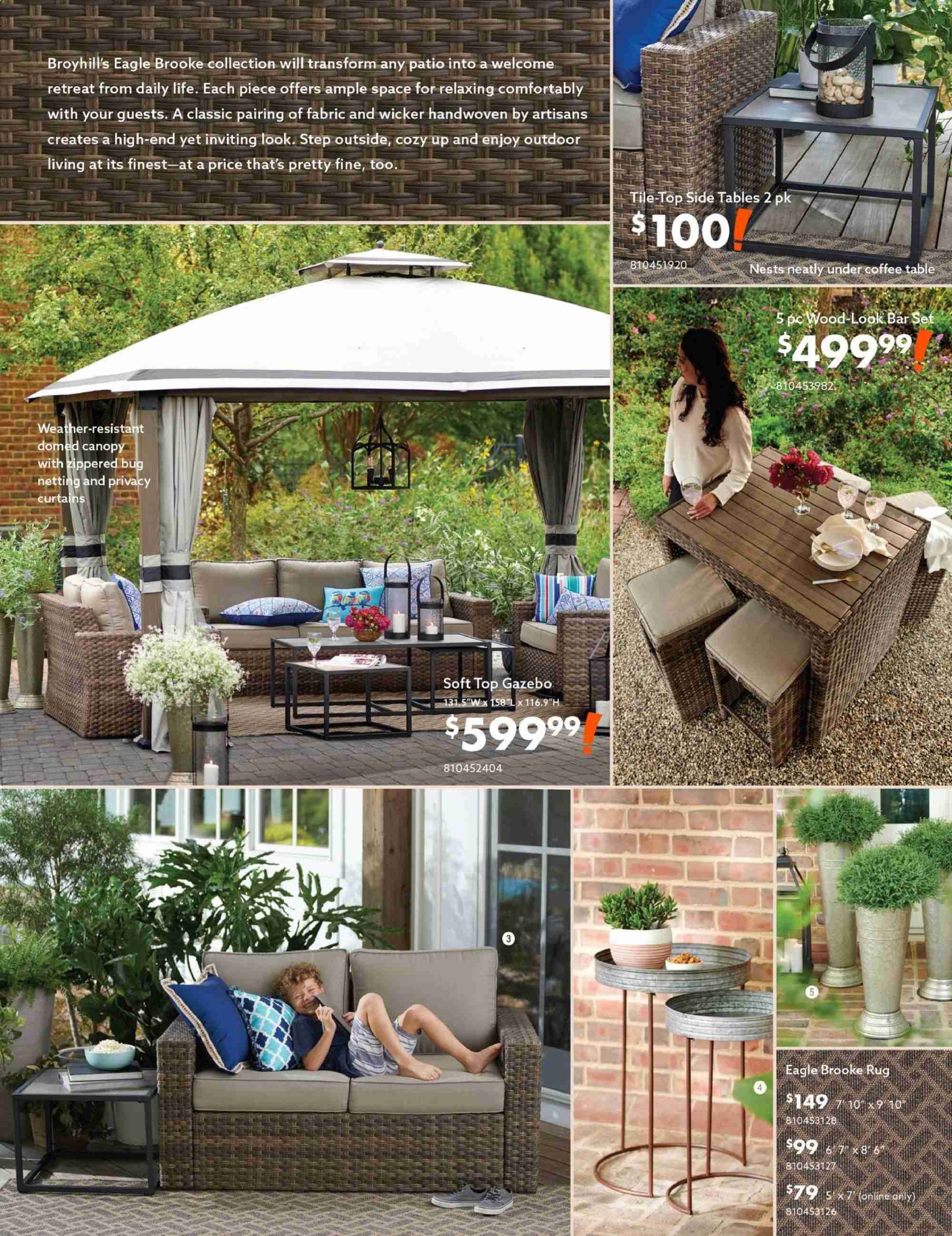 Big Lots Weekly Ad January 19 to July 31