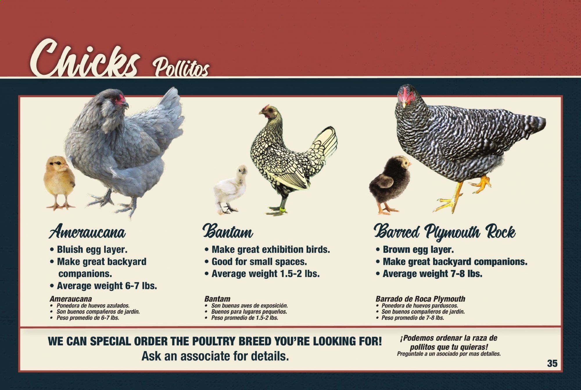 Orscheln Farm and Home Weekly Ad February 1 to November 1