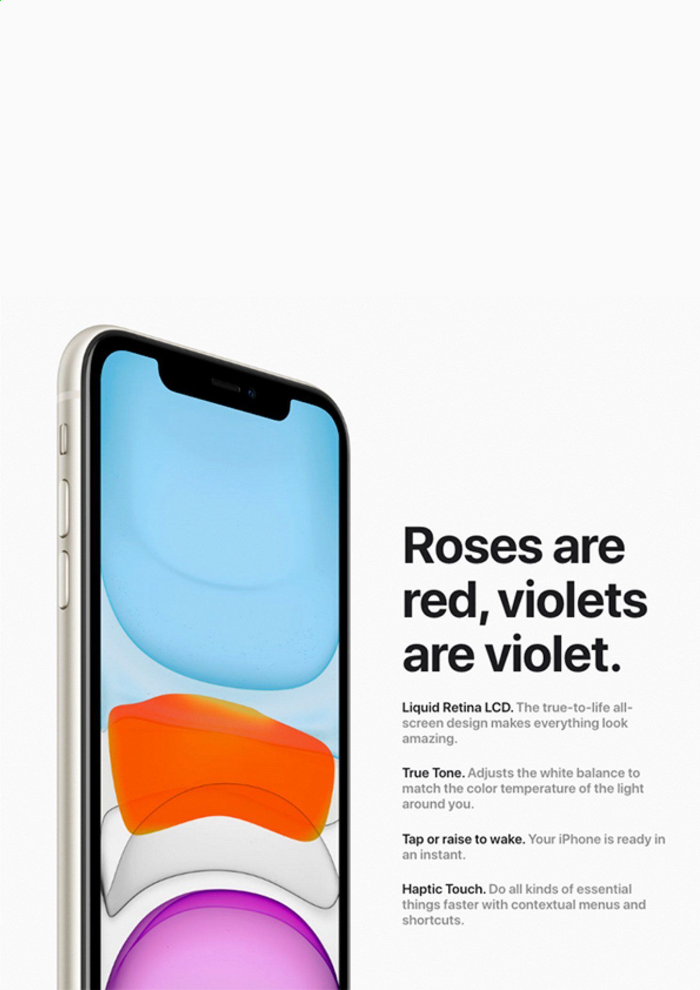 Apple Catalog 2020-2021
