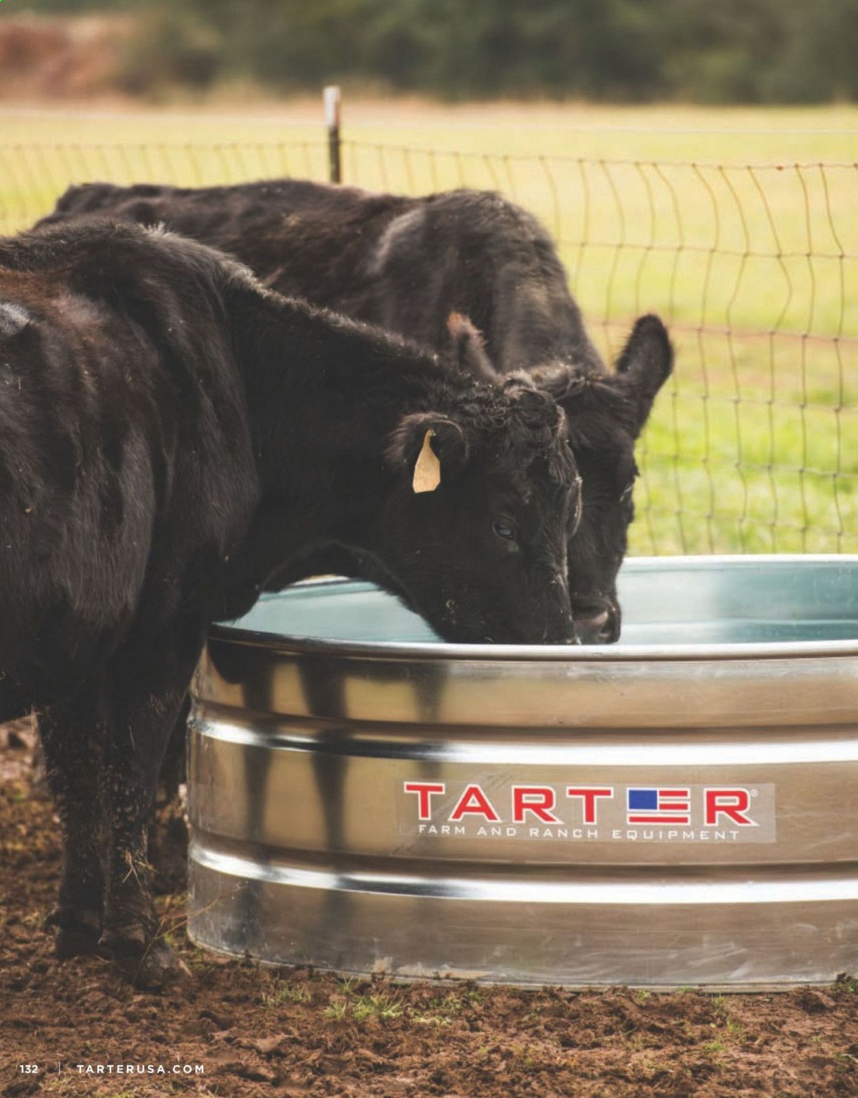 Rural King Weekly Ad March 11 to March 31
