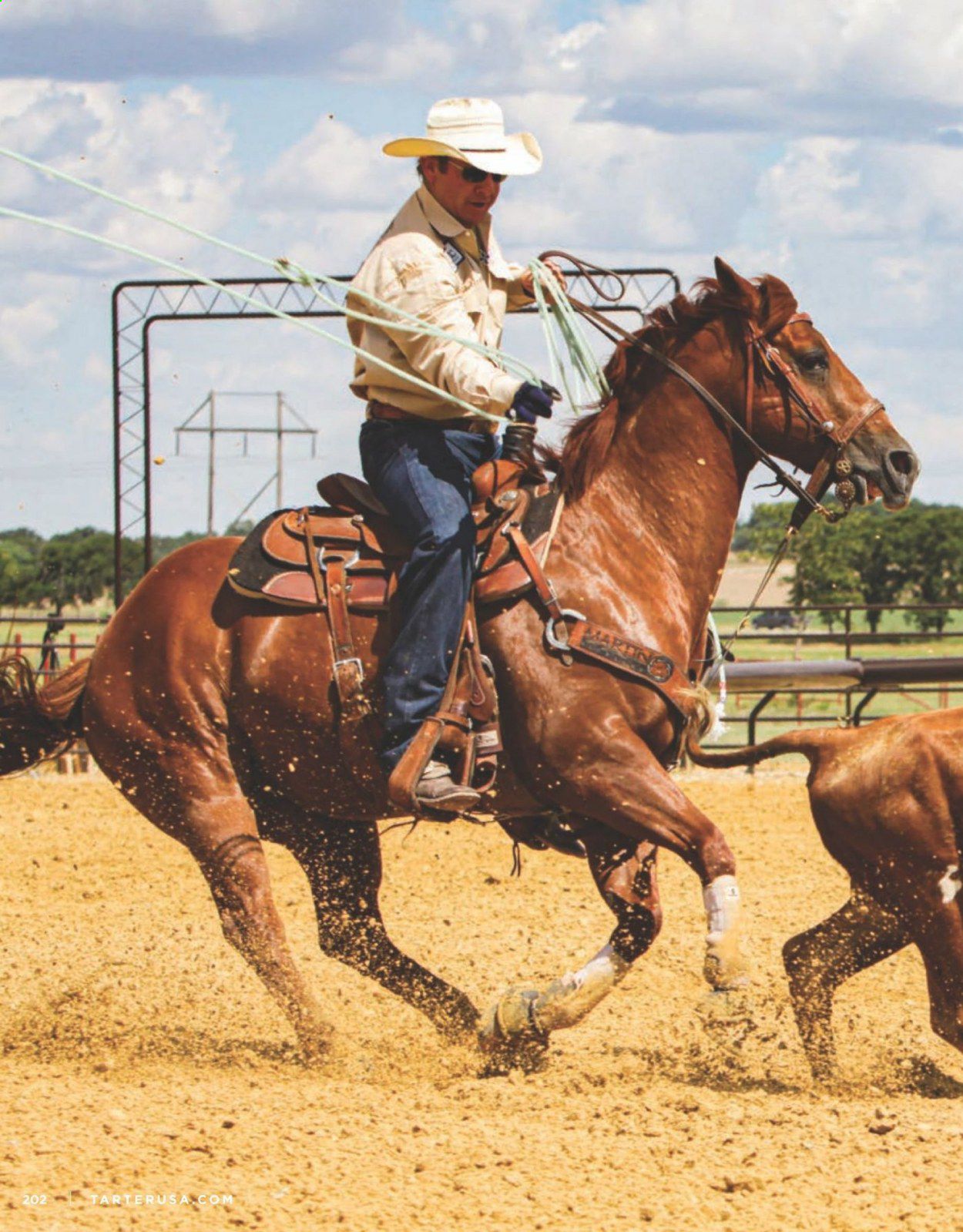 Rural King Weekly Ad March 11 to March 31