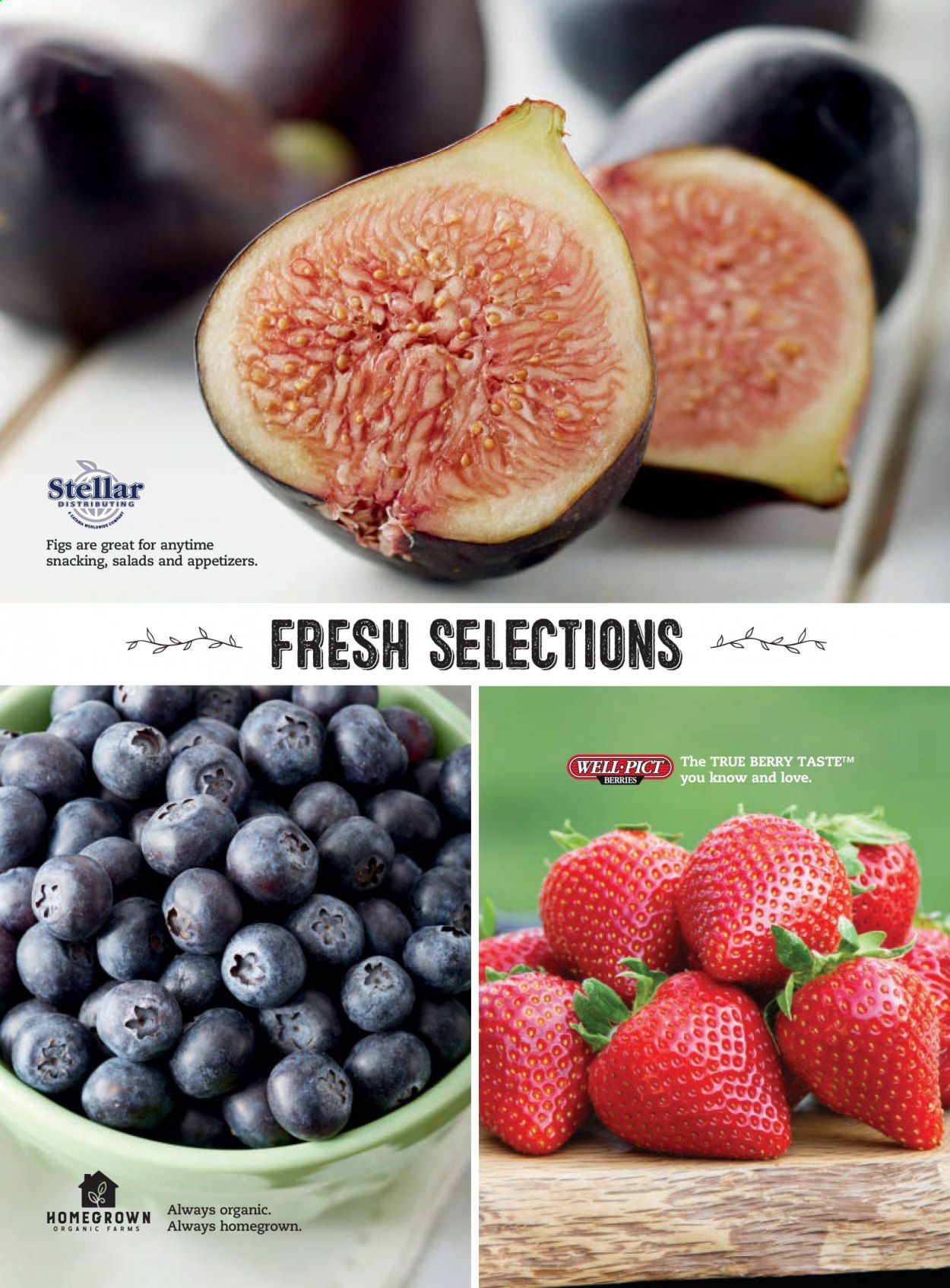 Costco Weekly Ad July 1 to July 31