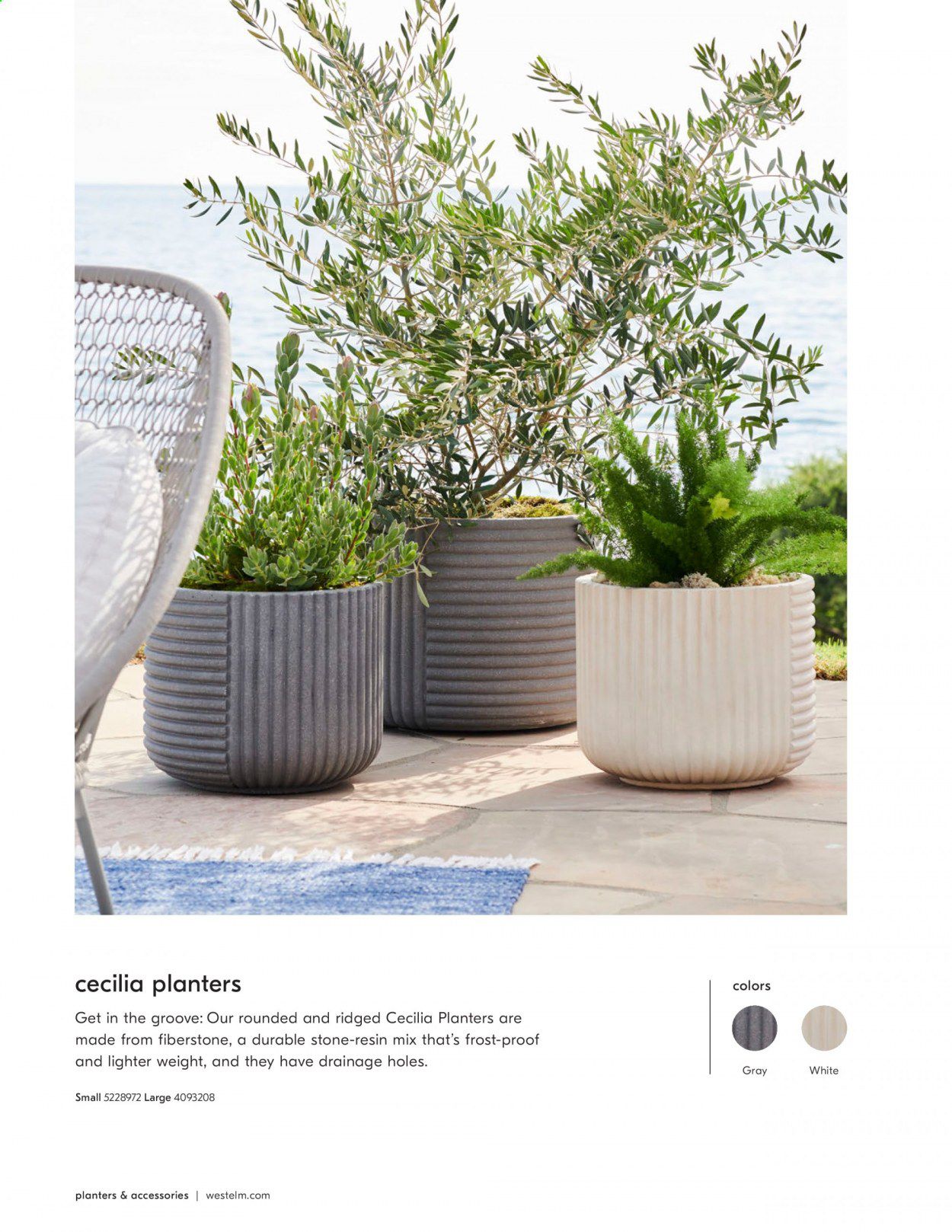 West Elm Catalog 2020-2021