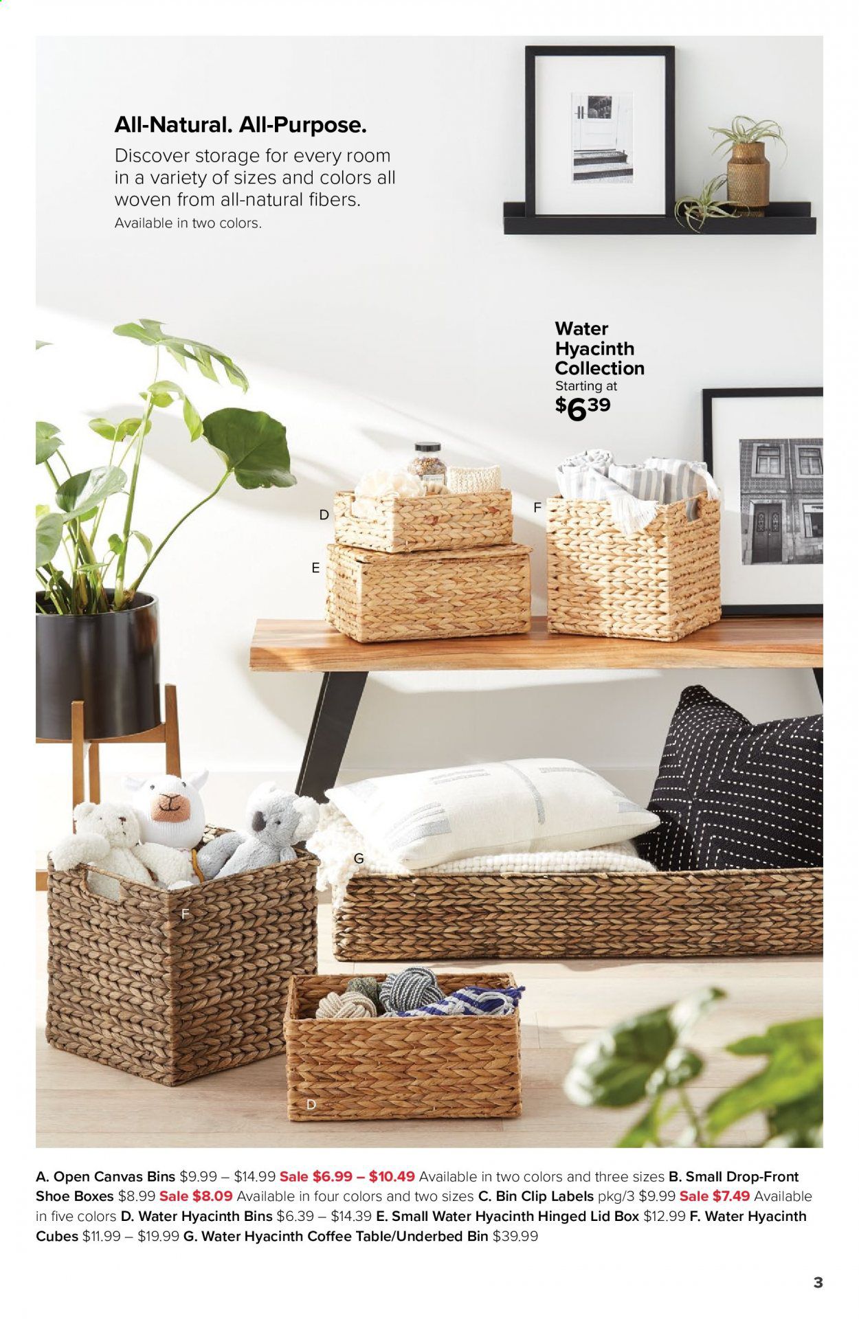 The Container Store Catalog 2020-2021