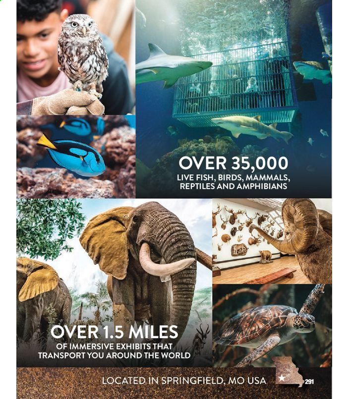 Bass Pro Shops Weekly Ad July 1 to January 1