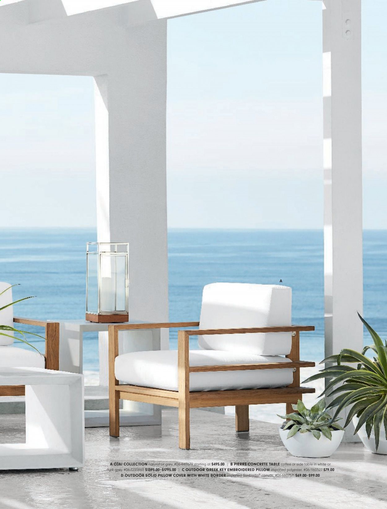Williams-Sonoma Catalog 2020-2021
