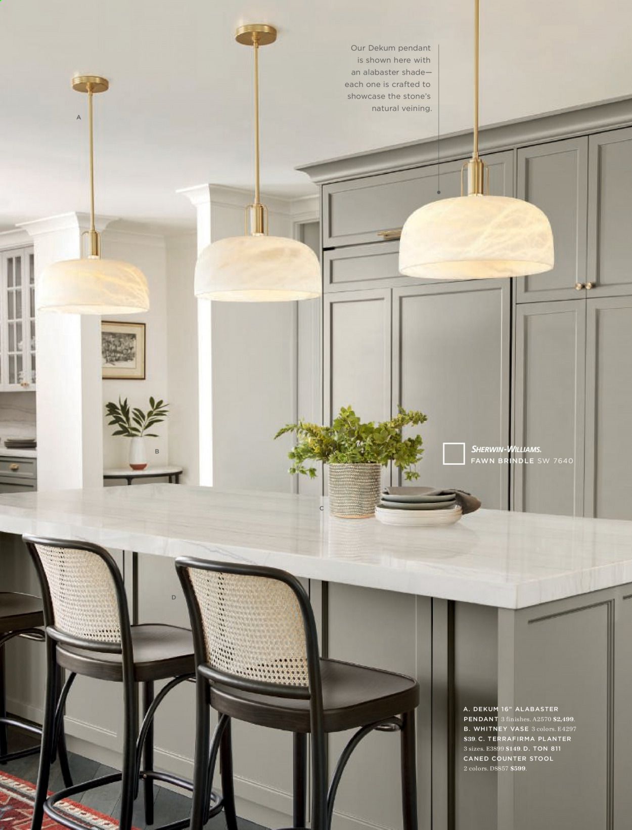 REJUVENATION Catalog 2020-2021