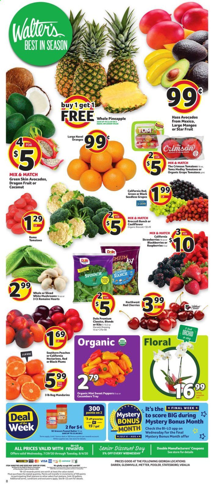 BI-LO (GA) Weekly Ad July 29 to August 4
