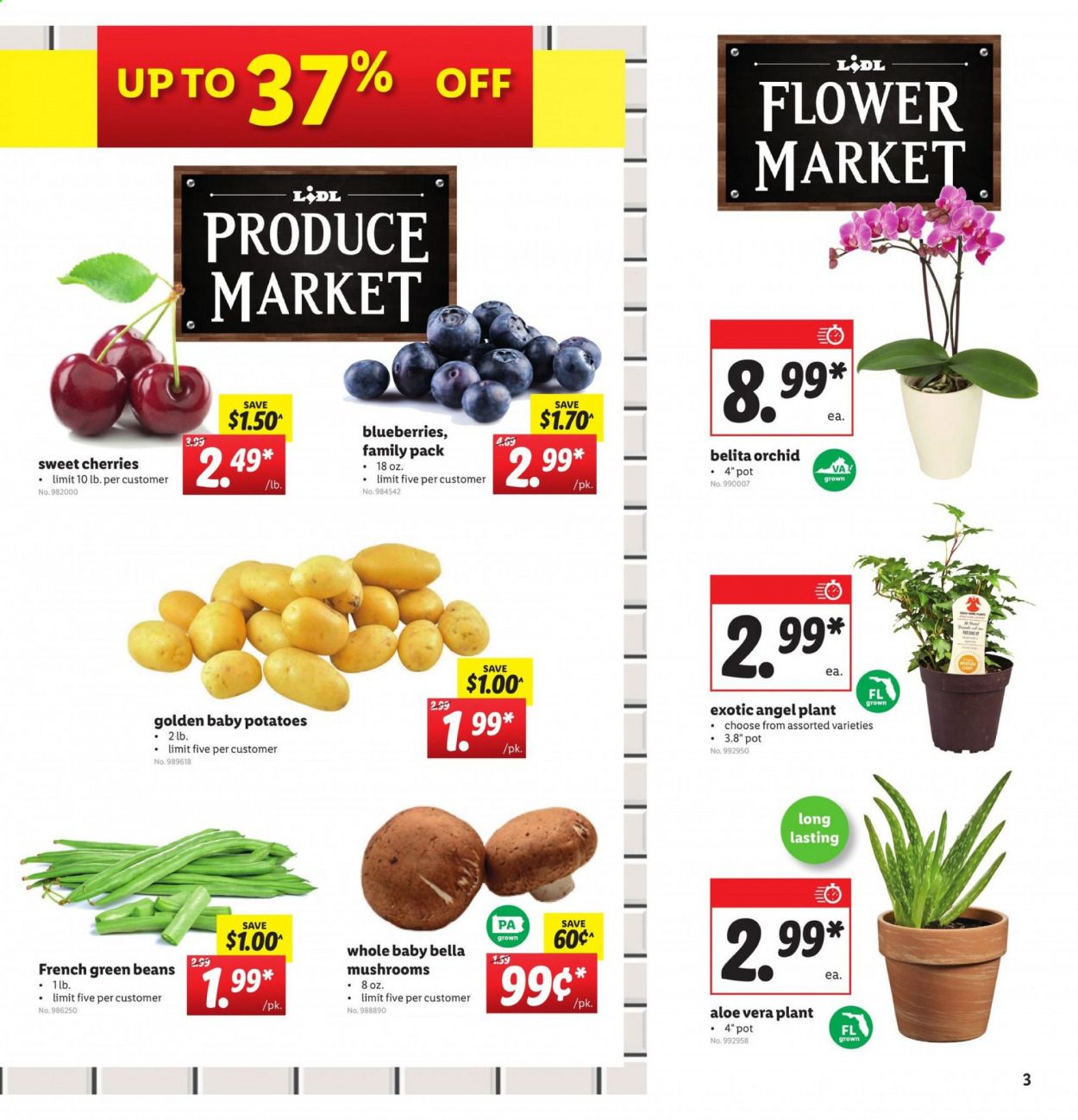 Lidl Weekly Ad July 29 to August 4