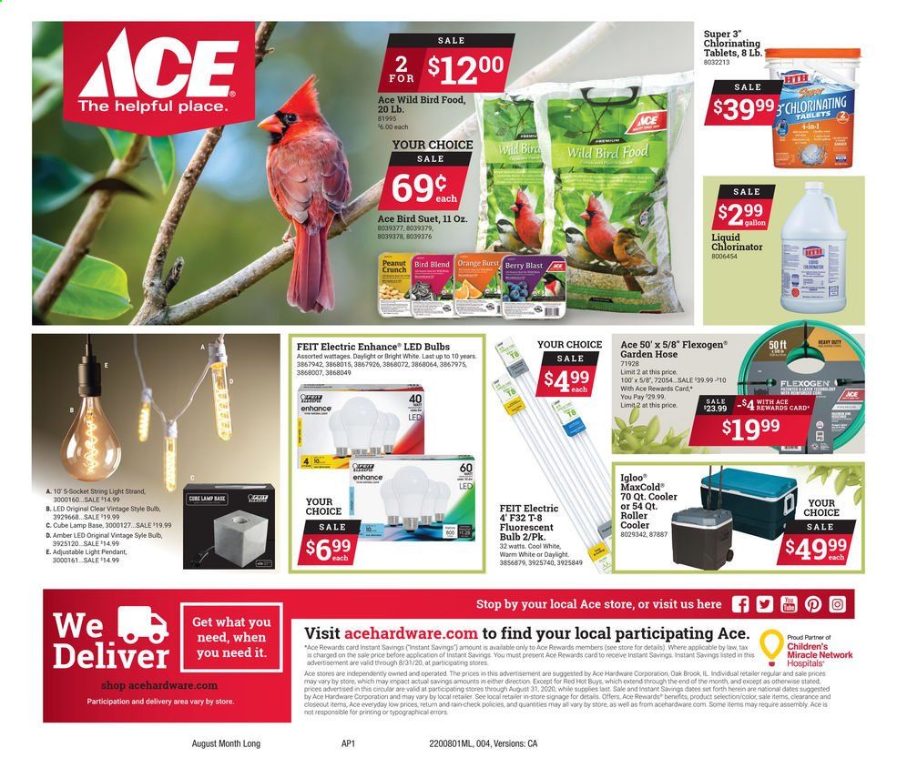 ACE Hardware Weekly Ad August 1 to August 31