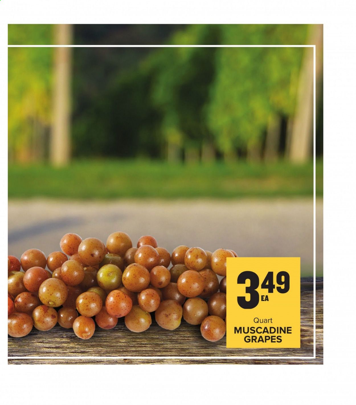 Food Lion (GA) Weekly Ad August 5 to August 11