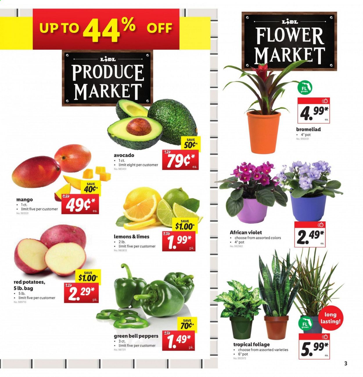 Lidl Weekly Ad August 5 to August 11