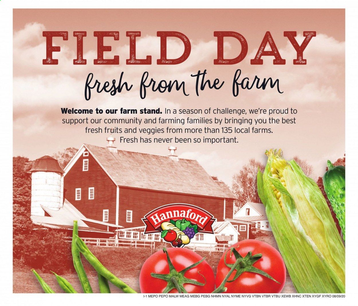 Hannaford (ME) Weekly Ad August 9 to August 15