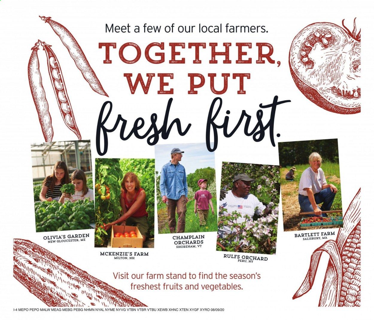 Hannaford (VT) Weekly Ad August 9 to August 15