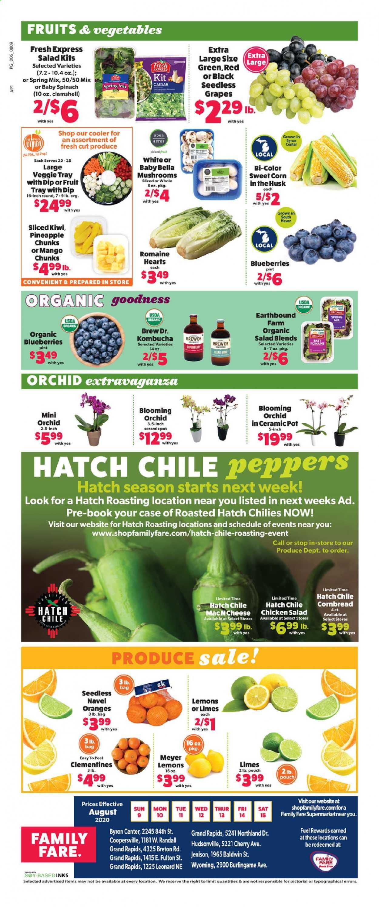 Family Fare Weekly Ad August 9 to August 15