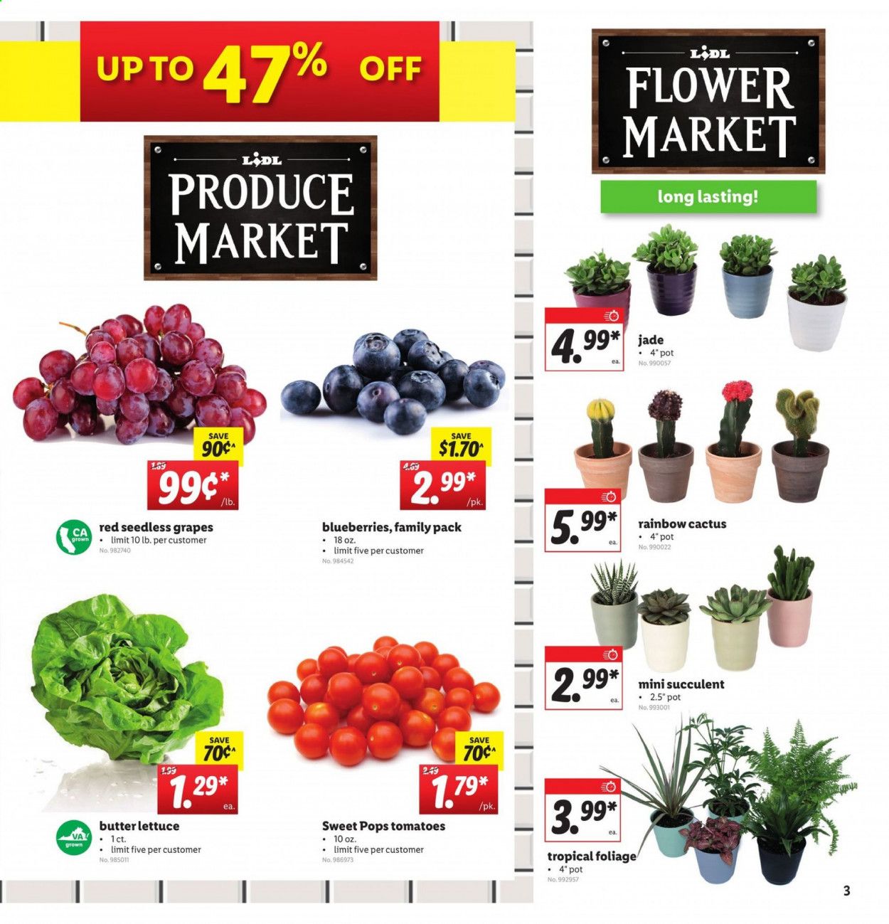Lidl Weekly Ad August 12 to August 18