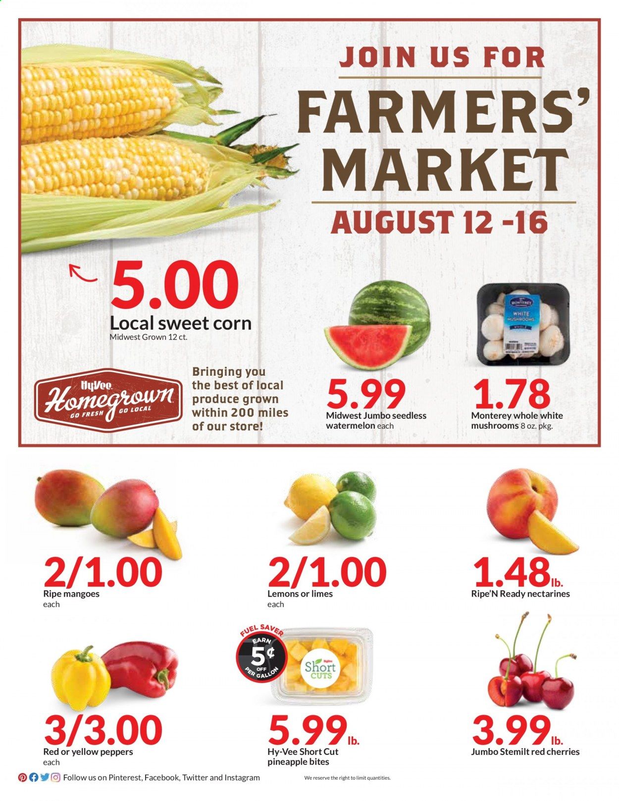 Hy-Vee (IA, IL, KS, MN, MO, NE, SD, WI) Weekly Ad August 12 to August 16