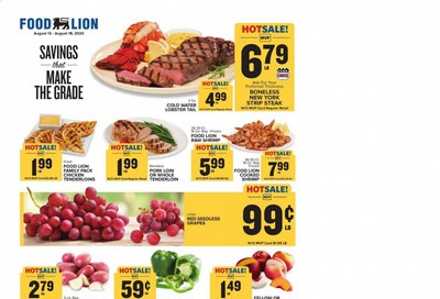 Food Lion (GA) Weekly Ad August 12 to August 18