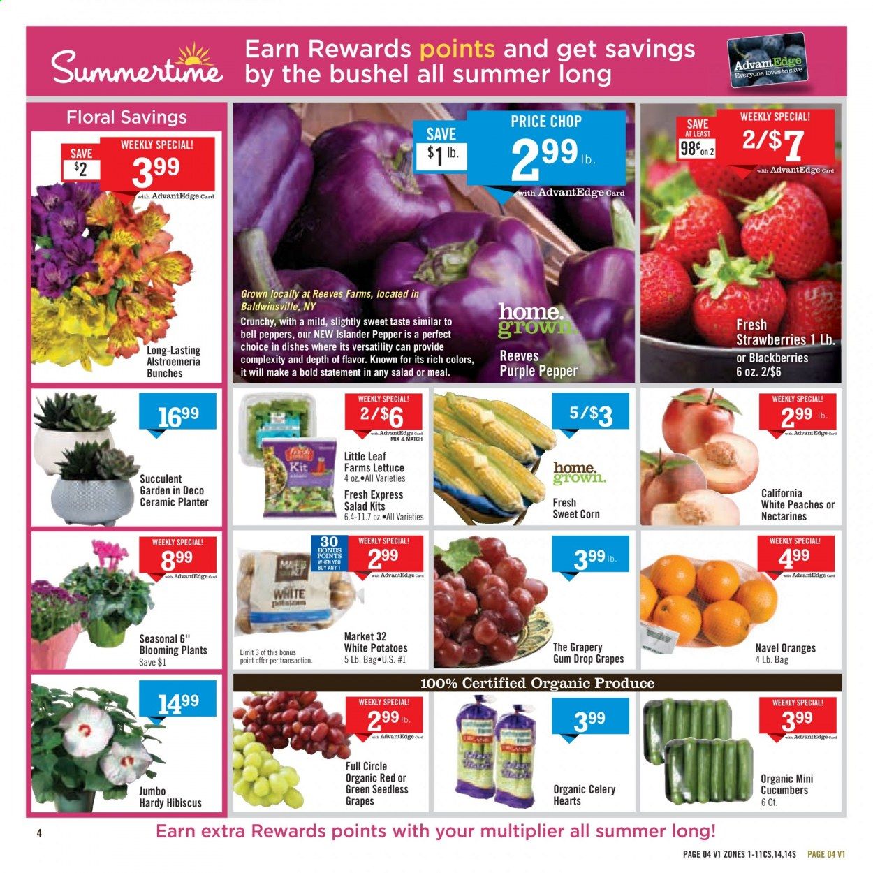 Price Chopper (CT) Weekly Ad August 16 to August 22