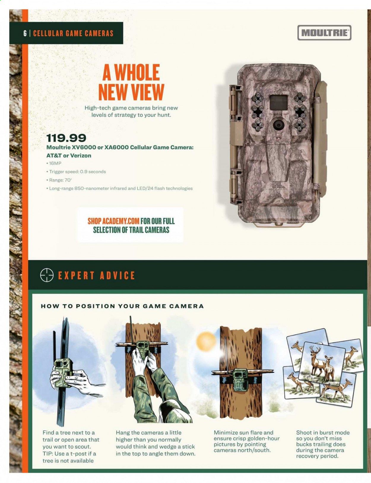 Academy Sports Weekly Ad August 17 to October 30