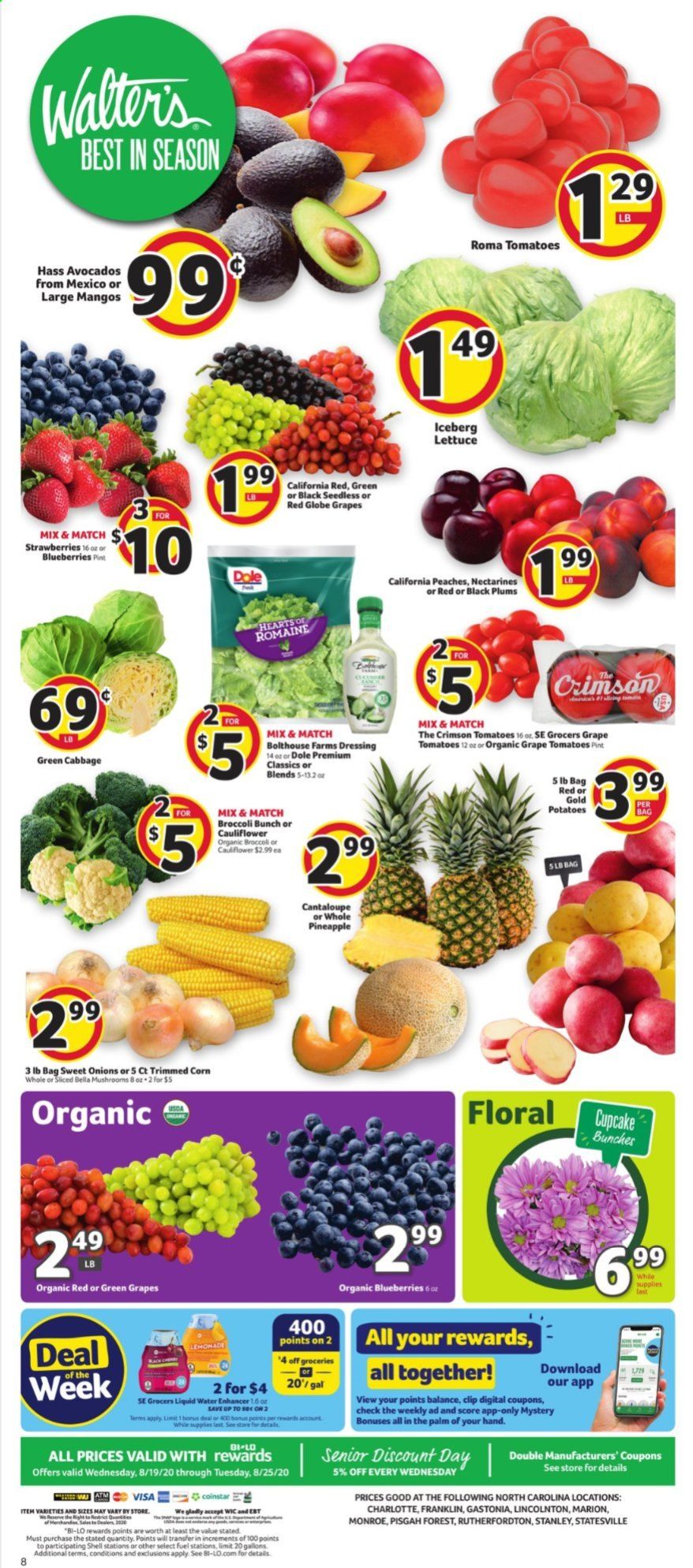 BI-LO (NC) Weekly Ad August 19 to August 25