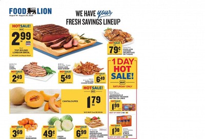 Food Lion (VA) Weekly Ad August 19 to August 25