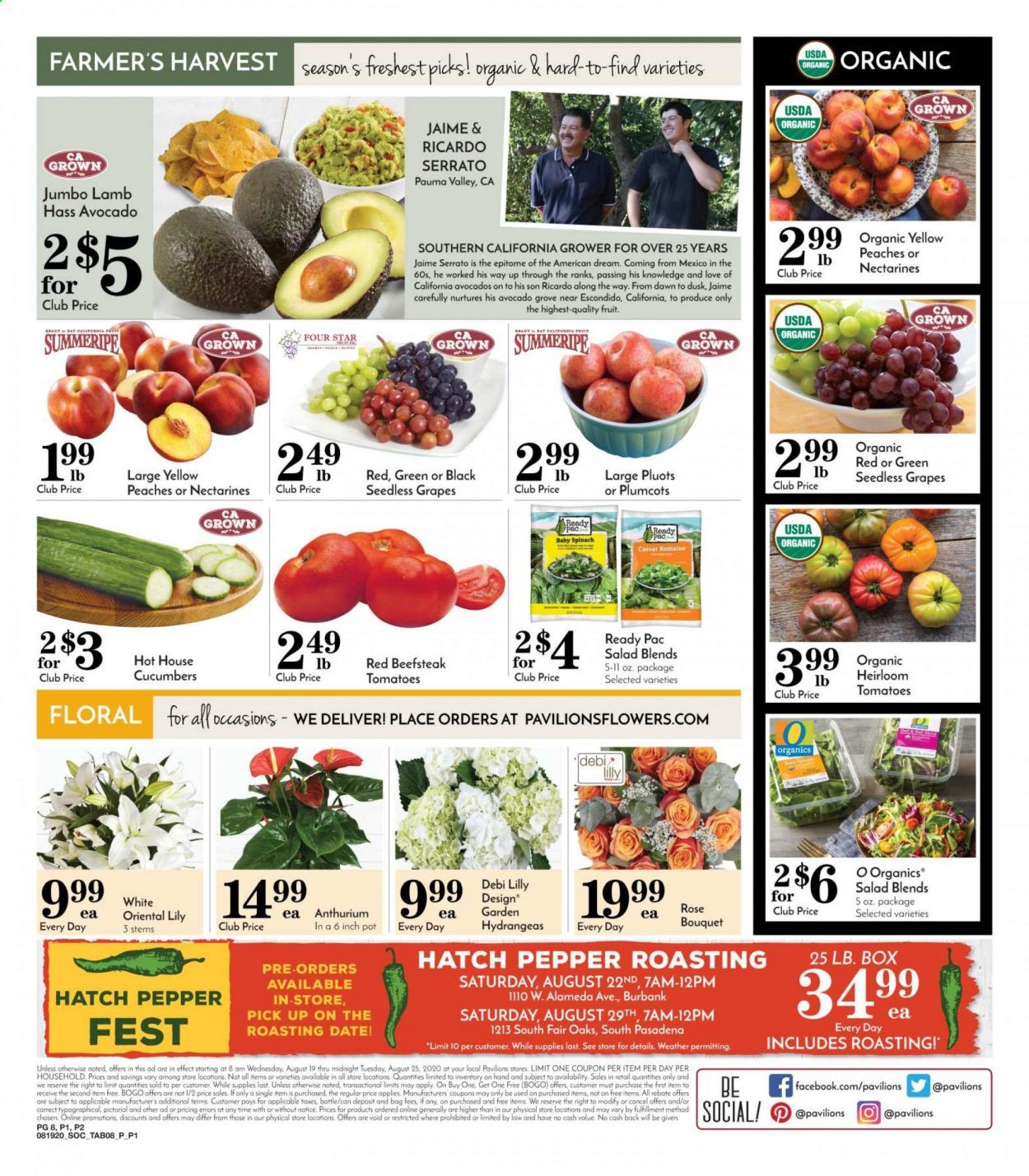 Pavilions Weekly Ad August 19 to August 25