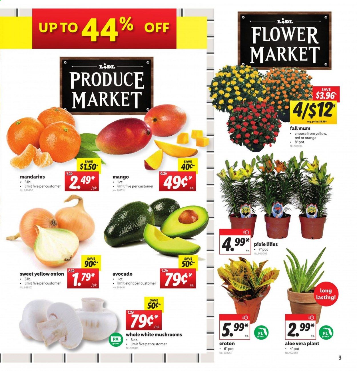 Lidl Weekly Ad August 19 to August 25