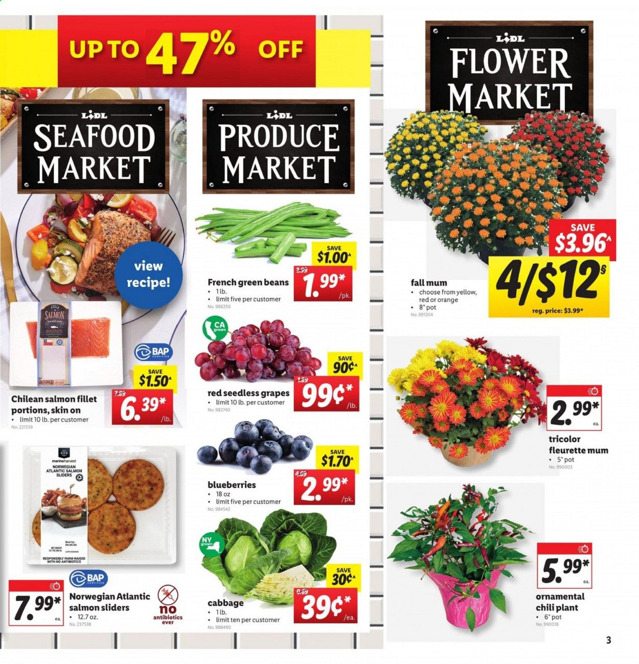 Lidl Weekly Ad August 26 to September 1