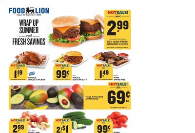 Food Lion (DE) Weekly Ad August 26 to September 1