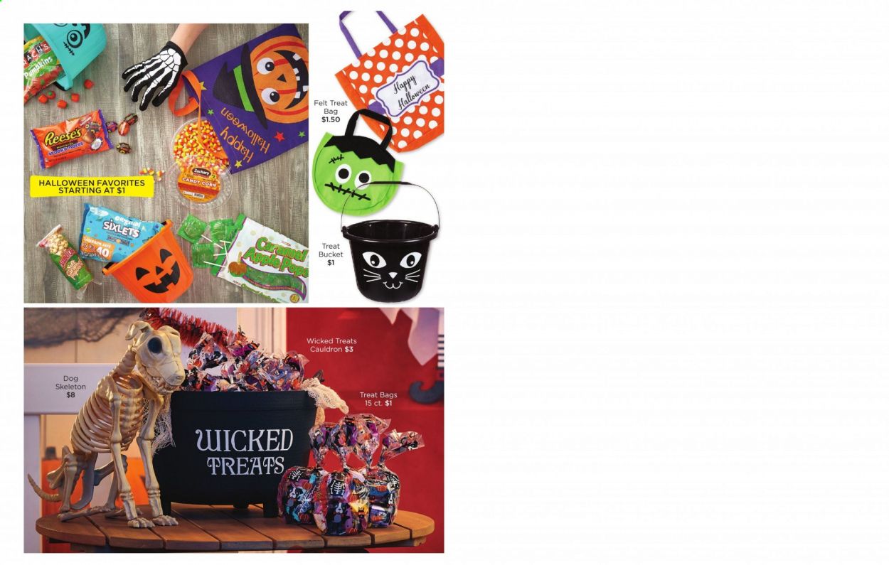 Dollar General Weekly Ad August 28 to October 31